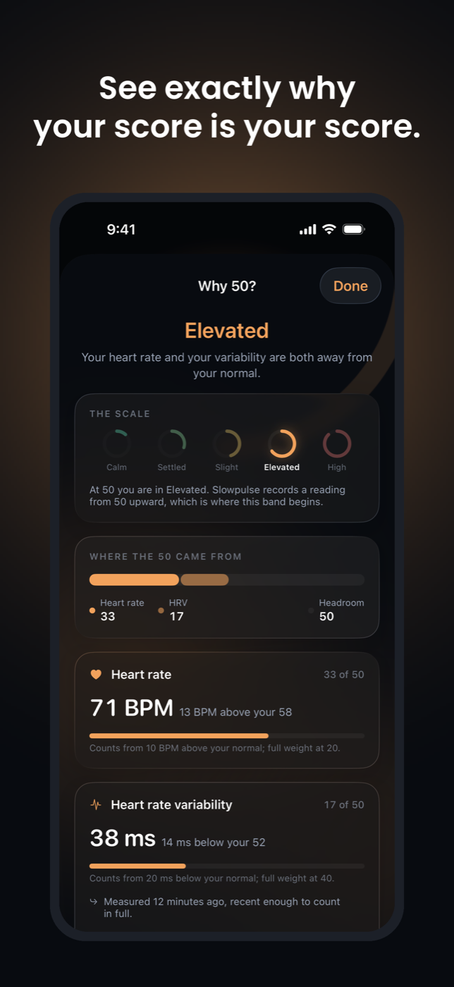 Slowpulse screenshot