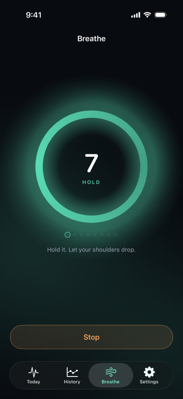 Slowpulse screenshot