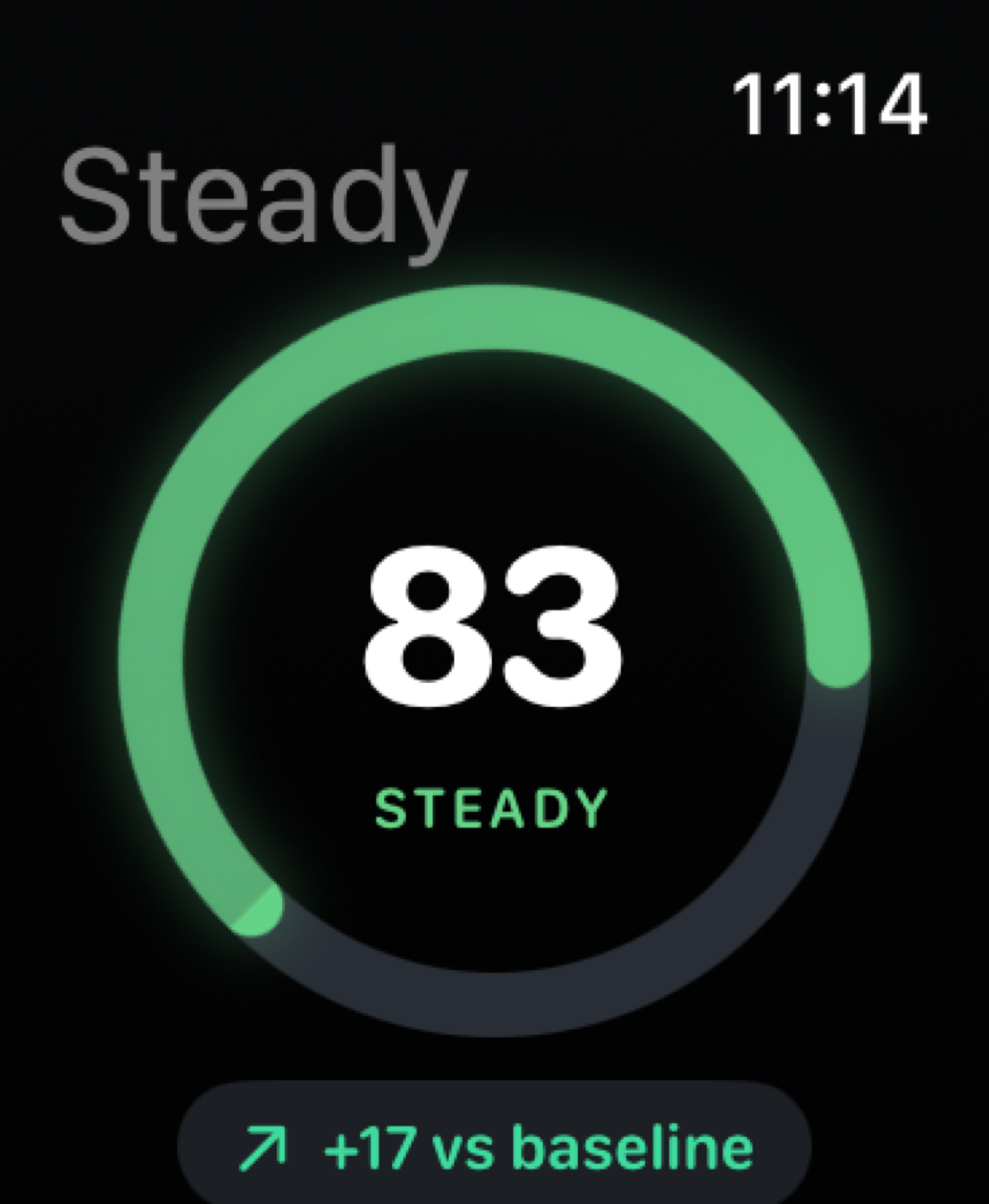 Steady screenshot